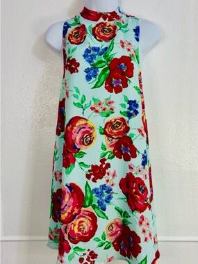 Everly floral sleeveless swing dress in a multicolor print sz.S